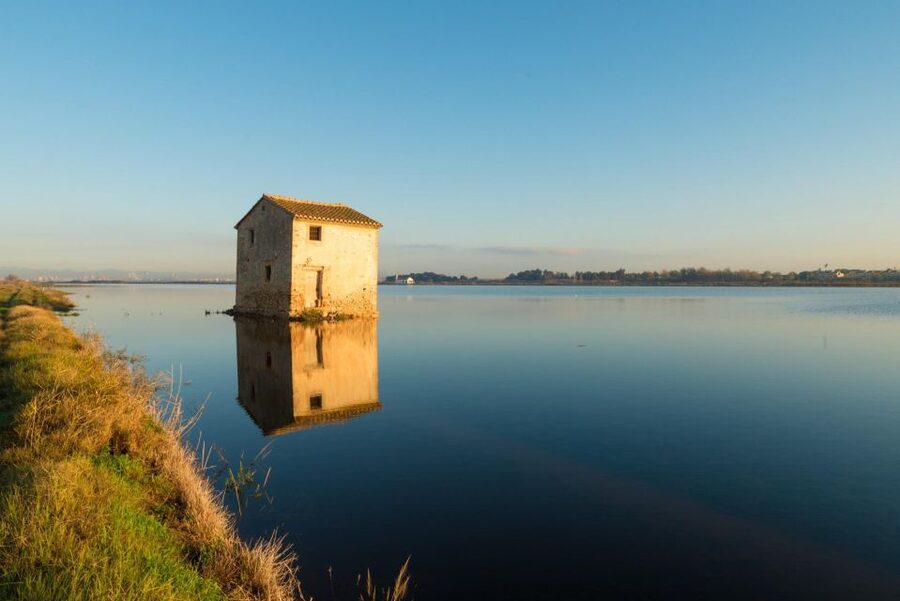From Valencia: Albufera Private Tour, Paella & Boat Ride - What the private format changes