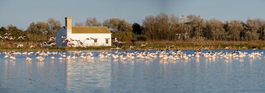 From Valencia: Albufera Private Tour, Paella & Boat Ride - Timing, weather, and practical limits
