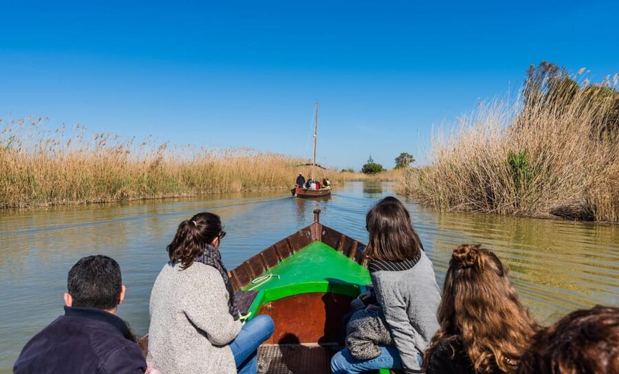From Valencia: Albufera Private Tour, Paella & Boat Ride - Who will get the most from this day