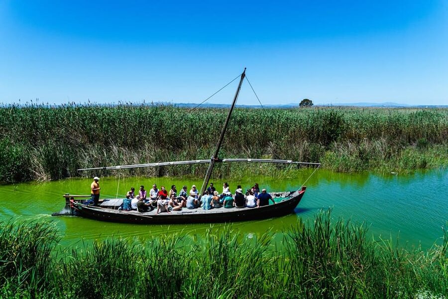 From Valencia: Albufera Private Tour, Paella & Boat Ride - Estany del Pujol brings the park into view