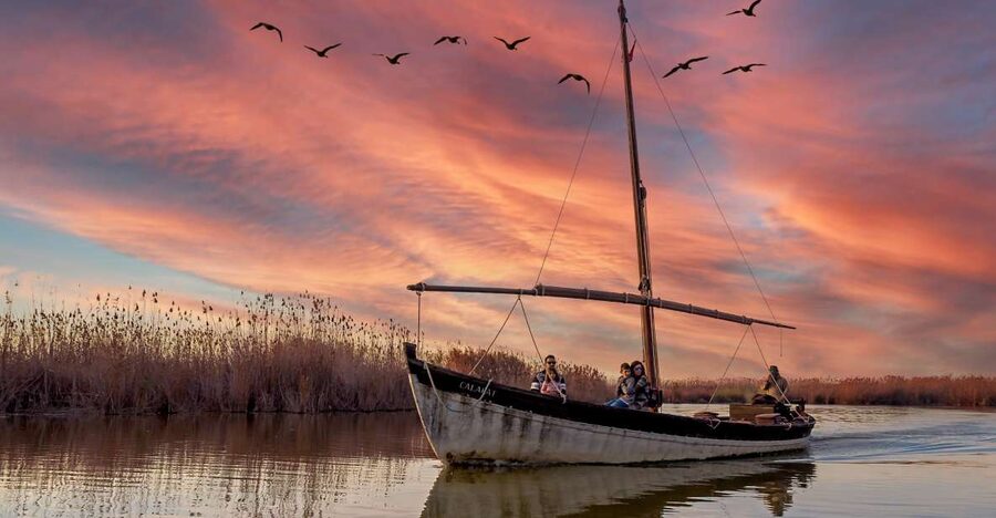 From Valencia: Cullera Old Town and Albufera Natural Park - Practical advice for making the day easier