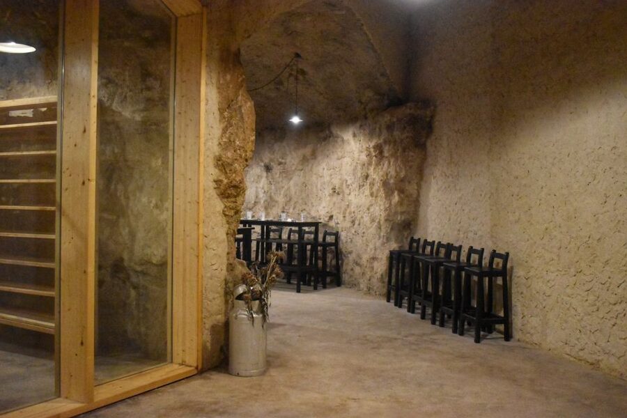 From Valencia: Guided Cheese Factory Tour with Wine Tasting - What to bring and how to prepare