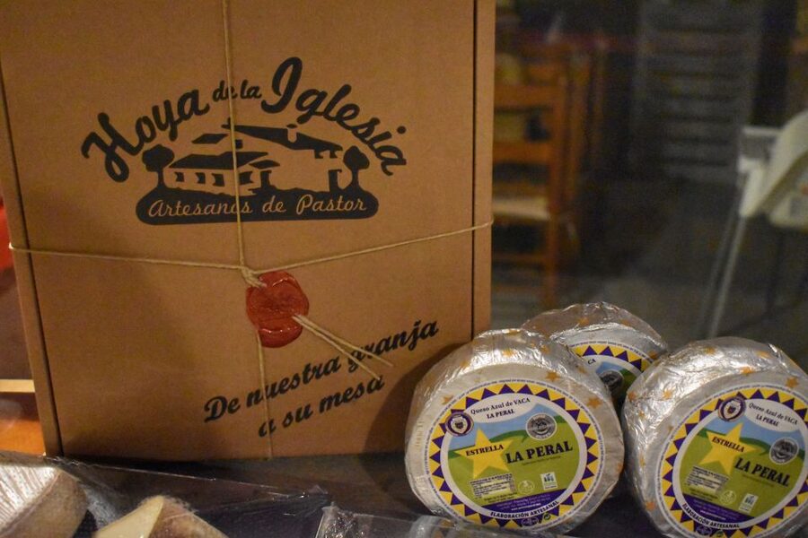 From Valencia: Guided Cheese Factory Tour with Wine Tasting - Who will enjoy this day most?