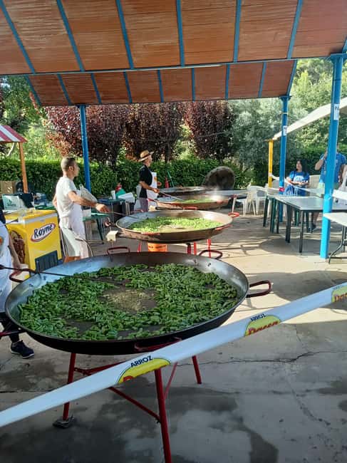 From Valencia: La Tomatina 2025 - Is $157 good value?