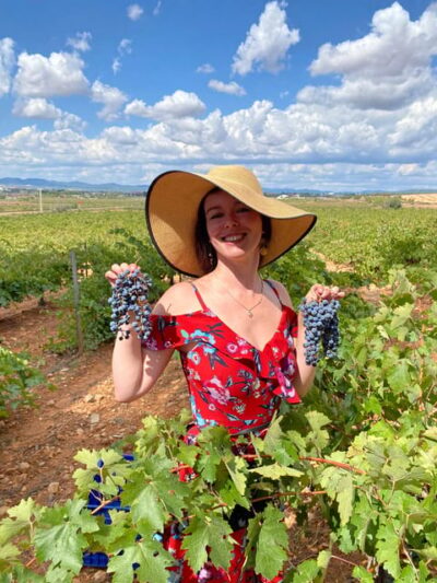 Utiel-Requena Wine Tour and Traditional Lunch