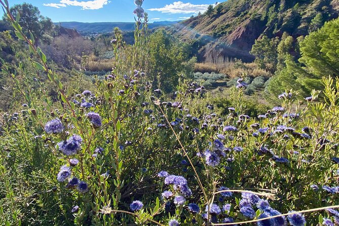 Full-day Hiking at Ruta the Aqua across Pena Cortada - Returning to Calles for a well-earned drink