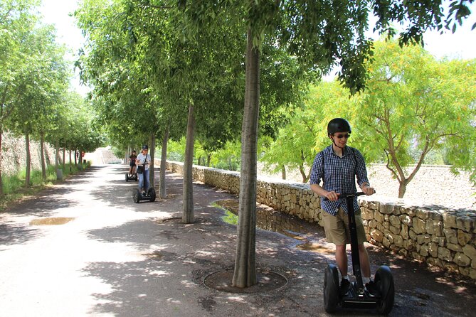 Fun Private Segway Tour in Valencia - Guides, explanations, and photographs