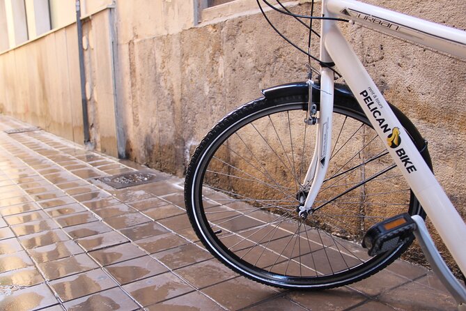 GRAND CITY Private Guided Tour on Bike, E-Bike, E-Step or Segway - Riding through the 40-minute Turia Gardens