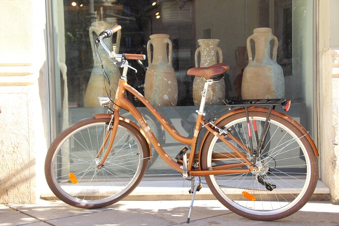 GRAND CITY Private Guided Tour on Bike, E-Bike, E-Step or Segway - Market streets, civic Valencia, and the Serrans Towers