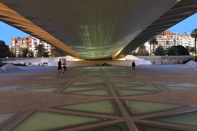 Grand City | Small Group Bike Tour through Top Highlights - Forty minutes through the Turia Gardens