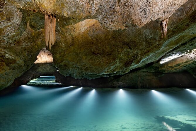 Half Day Tour to San Jose Caves from Valencia - Group size, comfort, and who will enjoy it