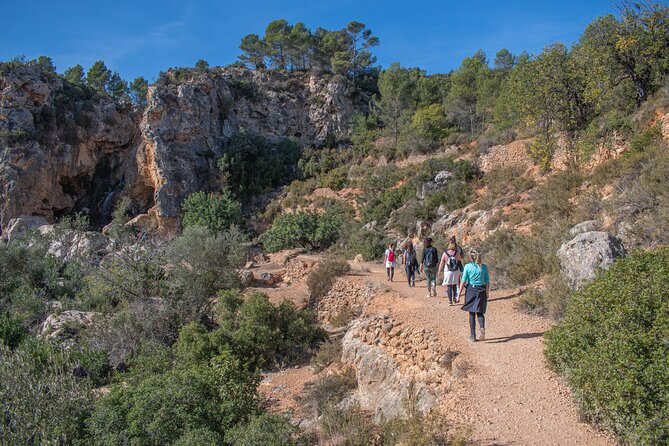 Hiking Experience between Waterfalls in Buñol from Valencia - What Pau adds to the experience