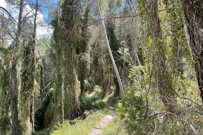 Hiking in Montanejos and swim in Thermal Springs - OFFICIAL GUIDE - What to bring for a better day