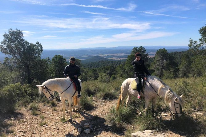 Horseback riding and wine tour (private tour) - Key Points to Know Before Booking