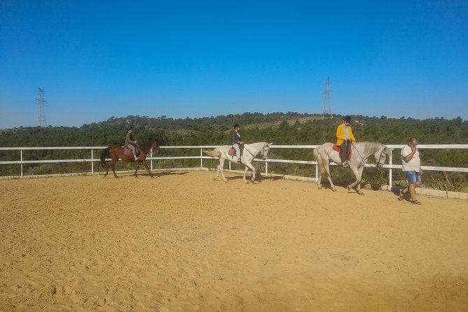 Horseback riding and wine tour (private tour) - The Utiel-Requena Setting