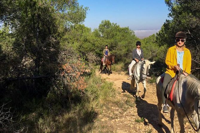 Horseback riding and wine tour (private tour) - Who Will Get the Most From This Tour