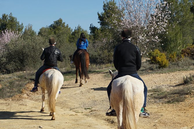 Horseback riding and wine tour (private tour) - What the Small Group Changes