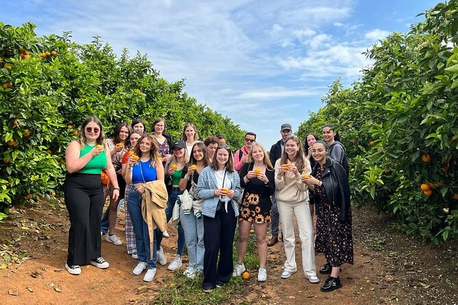 Live an Experience Among Orange Trees in Huerto Ribera - Why Carcaixent is the right place for an orange farm visit