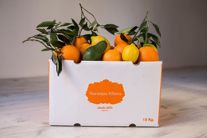 Live an Experience Among Orange Trees in Huerto Ribera - Picking, tasting, and comparing citrus
