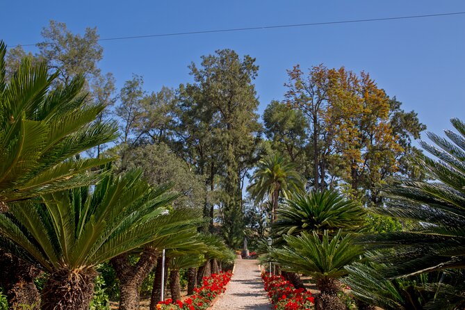 Live an Experience Among Orange Trees in Huerto Ribera - Finishing with Valencian products from nearby producers
