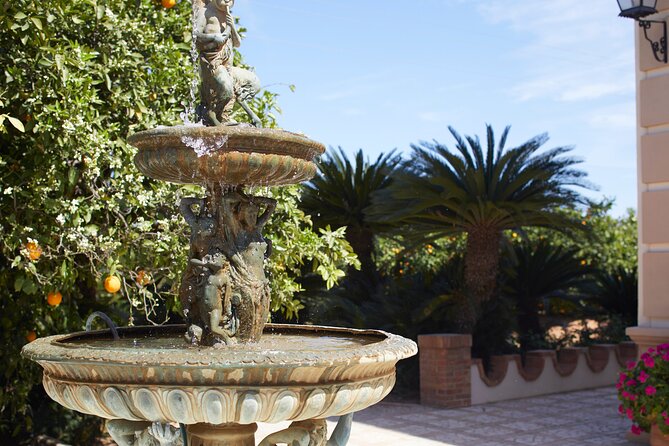 Live an Experience Among Orange Trees in Huerto Ribera - Getting from Valencia to Huerto Ribera