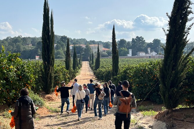 Live an Experience Among Orange Trees in Huerto Ribera - Walking through the gardens and orange groves