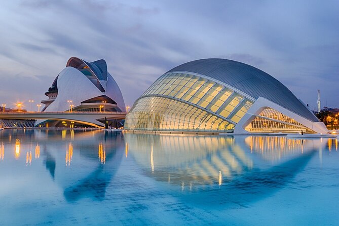 Private Tour of Valencia with Official Guide - Churches, market life, and Plaza Redonda