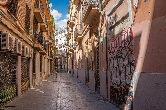 Private Tour of Valencia with Official Guide - Beginning at Torres dels Serrans