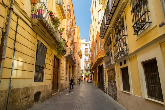 PRIVATE Walking Tour Historical Center with Local Expert - La Lonja de la Seda and Valencia’s merchant power