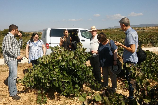 Private Wine Tour with Wine Tasting and Full Lunch (day trip) - Entering Murviedro’s old caves beneath Requena