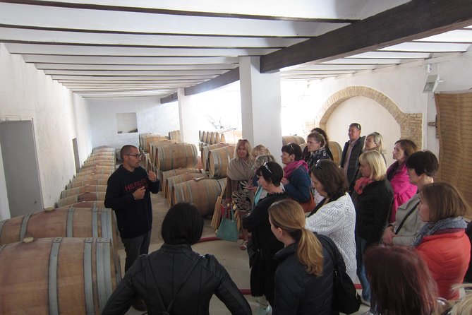 Private Wine Tour with Wine Tasting and Full Lunch (day trip) - Tasting Bobal and the wines of Utiel-Requena