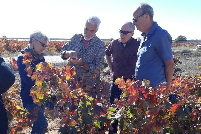 Private Wine Tour with Wine Tasting and Full Lunch (day trip) - Is $192.29 per person good value?