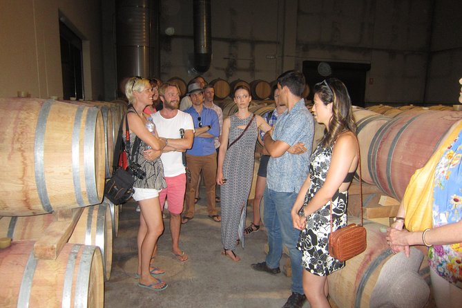 Private Wine Tour with Wine Tasting and Full Lunch (day trip) - A closer look at Bodega Vera de Estenas