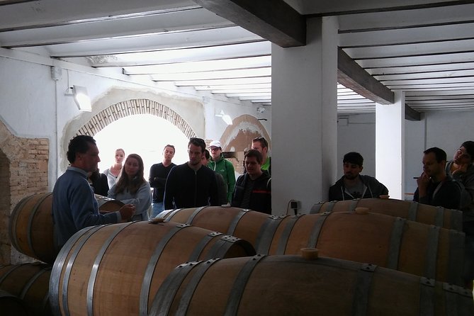 Private Wineries Tour from Valencia (morning tour) - Murviedro’s old caves beneath the town