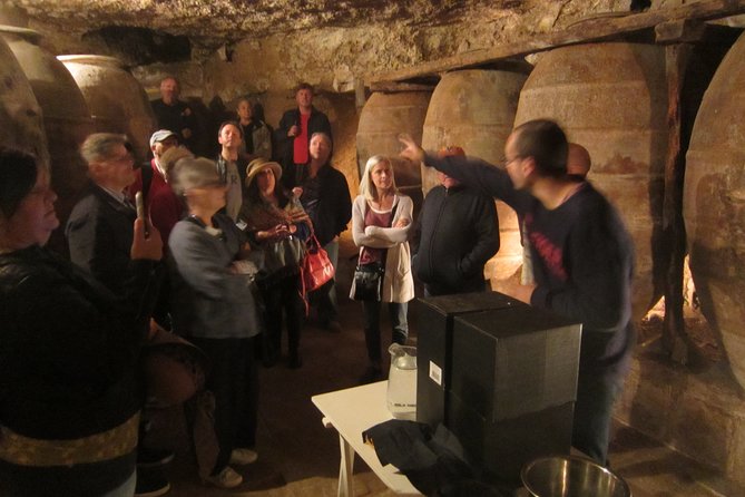 Private Wineries Tour from Valencia (morning tour) - Timing, comfort, and practical concerns