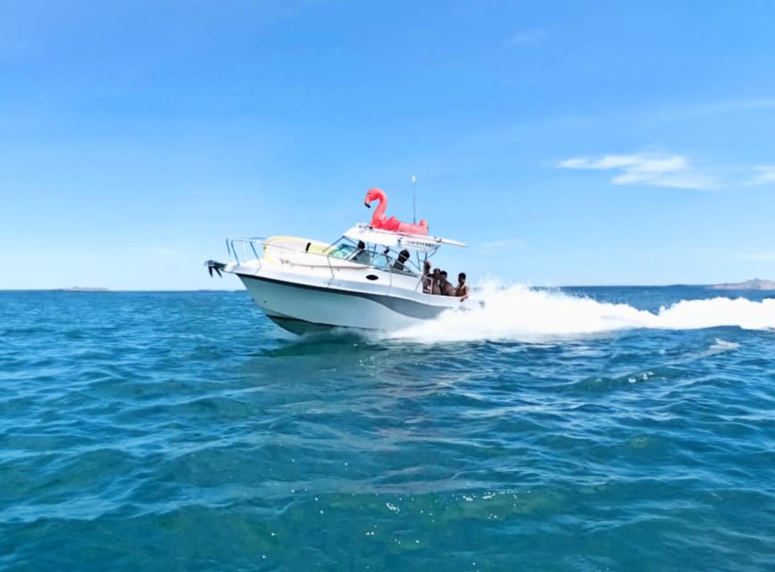 Rent Boat Valencia Yatch Polonova with capitan and drinks - Languages, cancellation, and planning details
