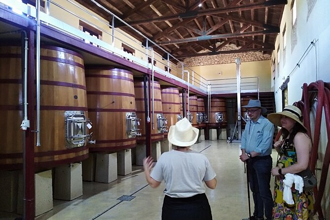 Requena Somm. Private Vineyards/ Premium Wine tasting 1/2 Day - Requena’s castle quarter, churches, and Moorish caves
