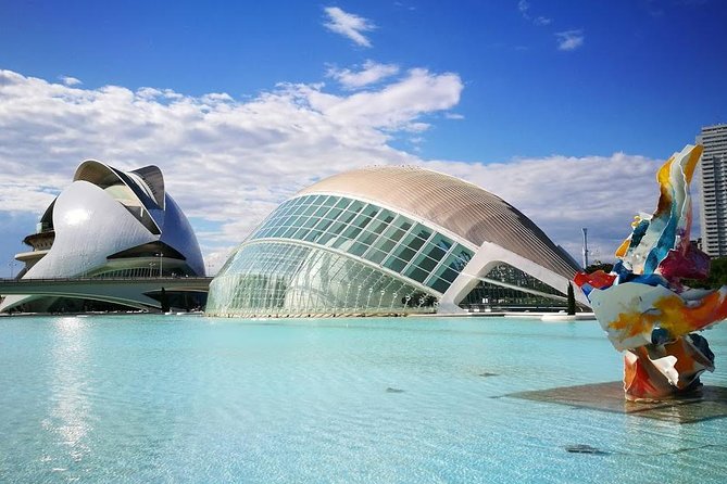 Shore Excursion: Valencia Half-Day Private Tour - From the cruise port to Calatrava’s futuristic city