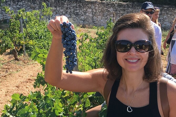 Singular Valencia Wine Tour Utiel Requena Wineries - Learning about Bobal and local wines