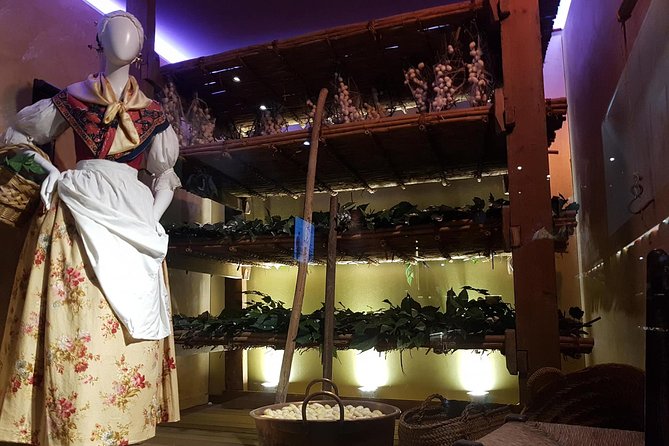 Skip the Line: Valencia Silk Museum Ticket Entrance - What you see during the two-hour visit