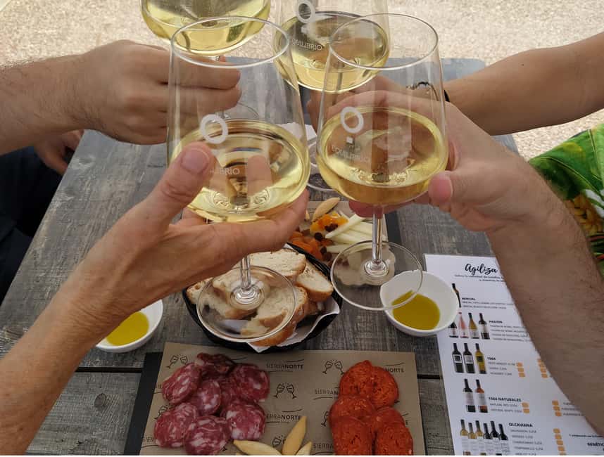 Small-Group Wine Tour from Valencia with Tastings Max 7 - Why Requena makes a smart wine trip from Valencia