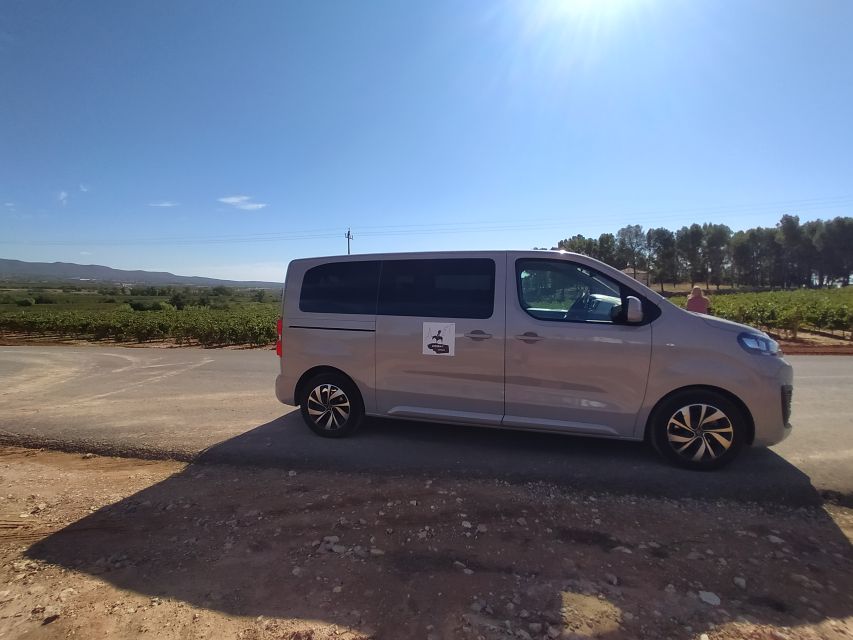 Small-Group Wine Tour from Valencia with Tastings Max 7 - Murviedro and the old caves beneath the town
