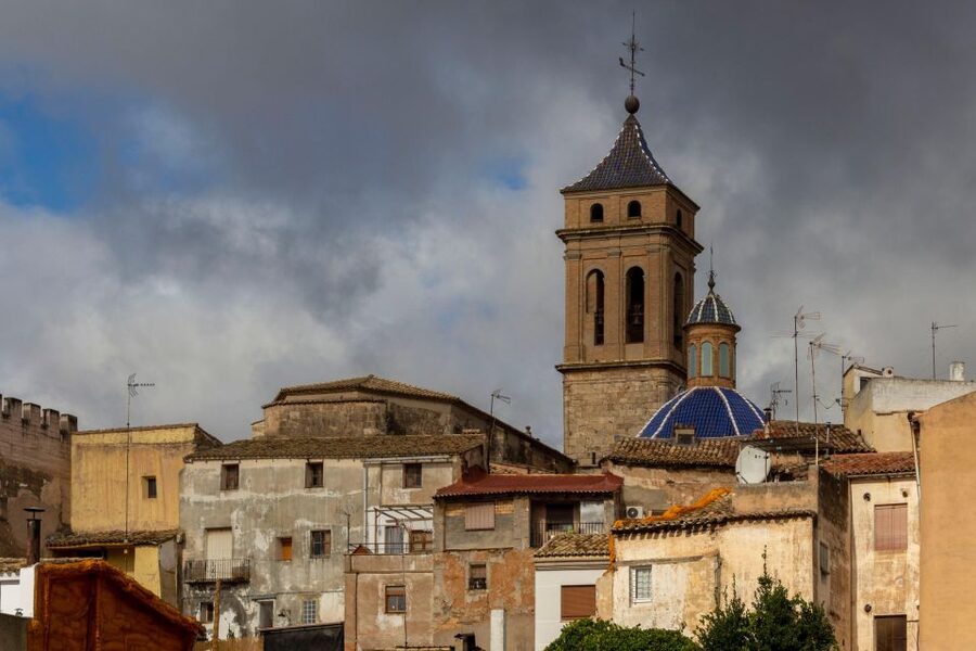 Small-Group Wine Tour from Valencia with Tastings Max 7 - Who will enjoy this small-group wine outing?