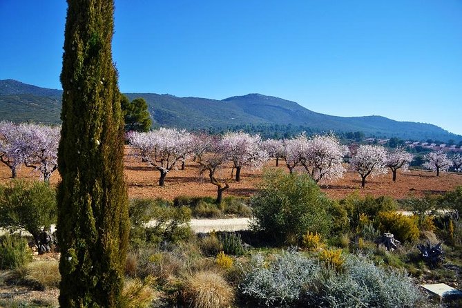 Small-Group Wine Tour with Local Expert (7 max) - The first winery, with a more intimate feel