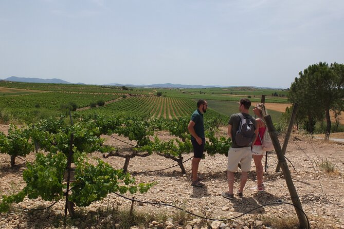 Tapas in the vineyards - Lunch at Bodega Vera de Estenas