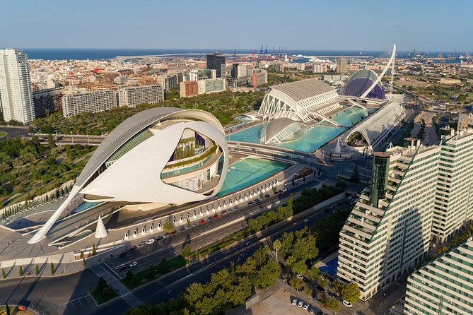 The Beauty of Valencia by Bike: Private Tour - The City of Arts and Sciences from a better angle