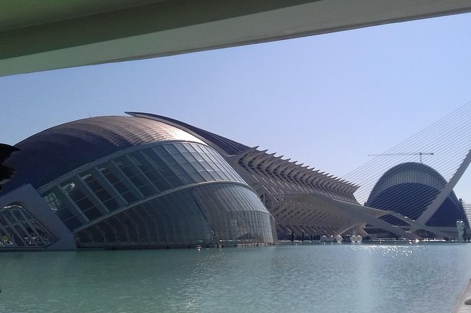 The City of Arts and Sciences in Valencia - Seeing the Science Museum from the main corridor