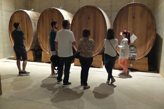 Two wineries tour with wine tasting - First winery: expect a changing selection