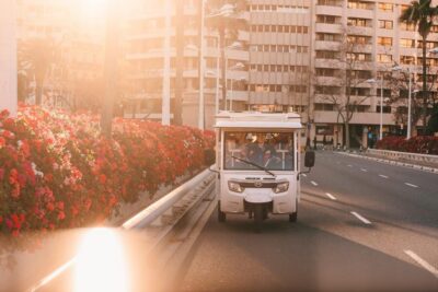 Valencia 1 hour by TukTuki: Essential and Private Tour