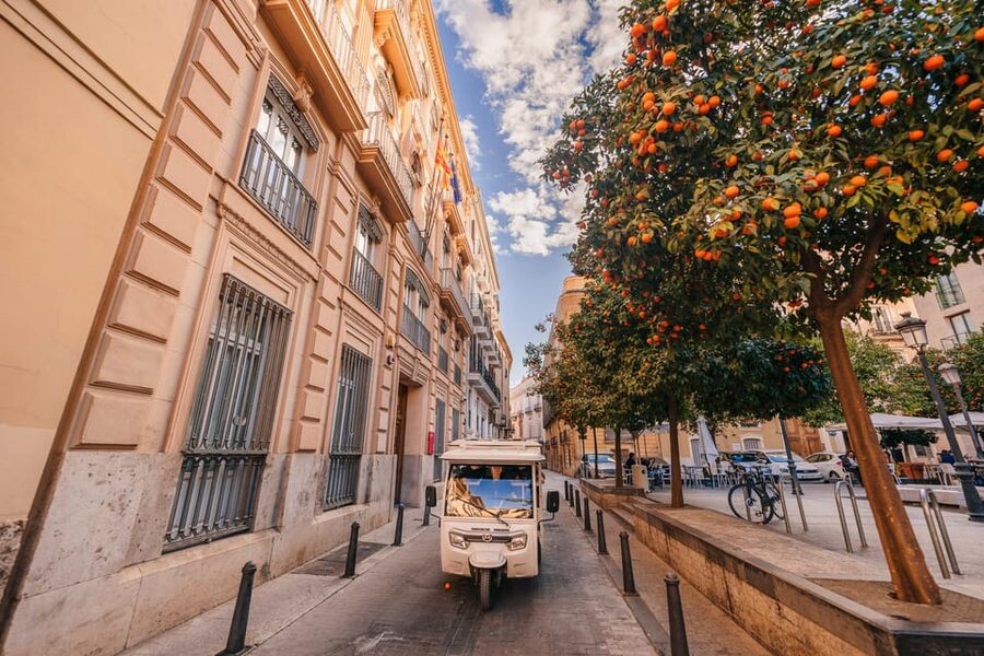 Valencia 1 hour by TukTuki: Essential and Private Tour - Malvarrosa and Las Arenas beaches
